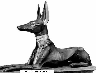 anubis anubis (yinepu, anpu). anubis was not god the dead, the sense that was the ruler the had Just a Lost Child