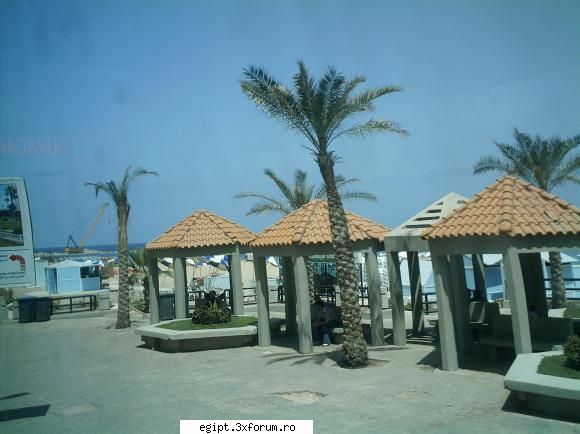 faleza, bancute si palmieri ! alexandria - 