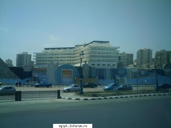 din acelasi perete cu cheia orasului ! alexandria - 