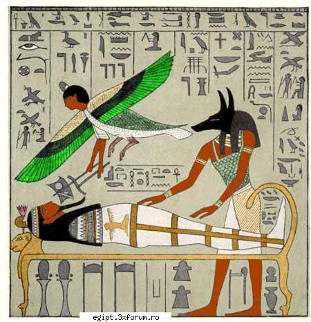 Anubis - setep_ioanak8 - POZE