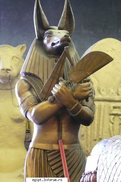 a anubis