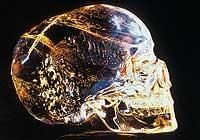 de-a lungul anilor au fost 12 cranii din cristal, a ridicat mari semne de �ntrebare modului atipic