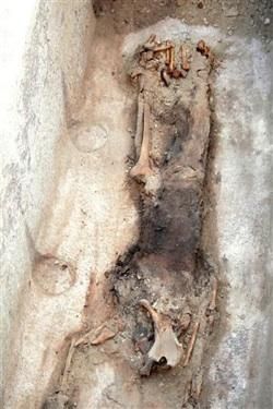 ultimele stiri aparute (9 ianuarie 2009) despre noua piramida in saqqara indica faptul ca piramida a