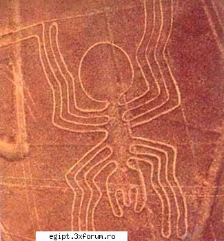 paianjenul desenele de la nazca