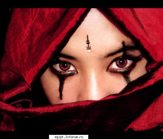 Egiptul m-a adus aici :) - a... era sa uit... I'd like you to meet ladyred!!! - Sa ne prezentam!
