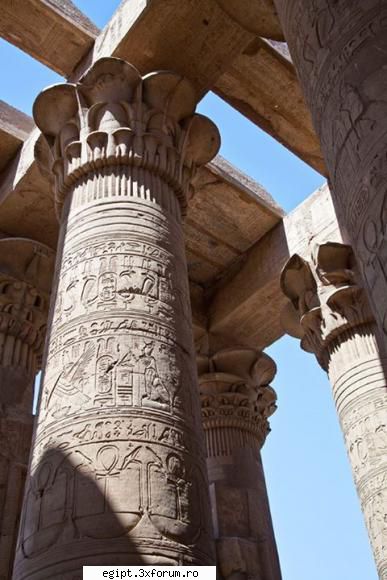 Horus - Arthras - POZE