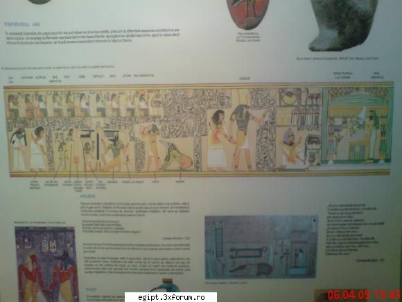 Horus - Dr.Emilian - POZE