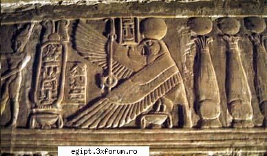 Horus - ladyblue - POZE