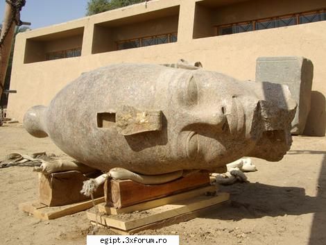 un cap urias din granit rosu al faraonului amenhotep al iii-lea, bunicul lui vechi de circa 3.000 de