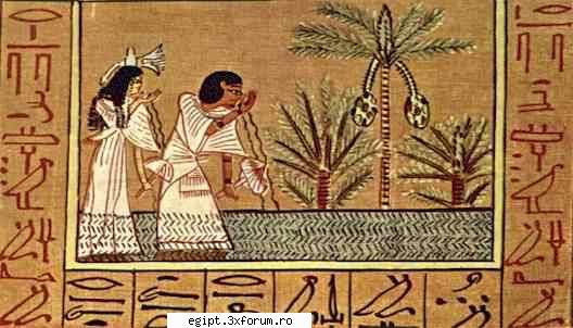 ani and his wife tutu drinking water from the celestial nile cartea egipteana a mortilor papyrus