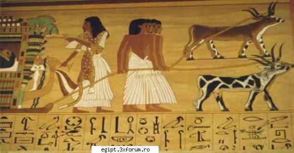 cartea egipteana a mortilor papyrus - Wall murals of the Scribe of Ani - POZE