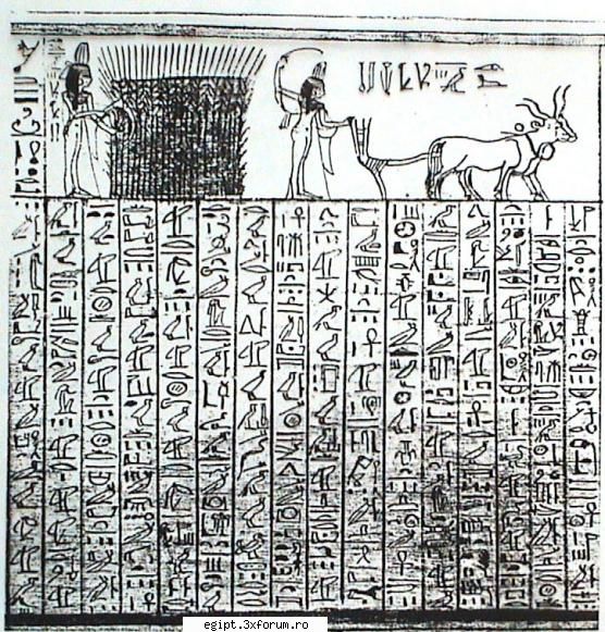dictionar egiptean-englez - cu totii suntem fascinati de Egipt si de - Dictionar mitologic
