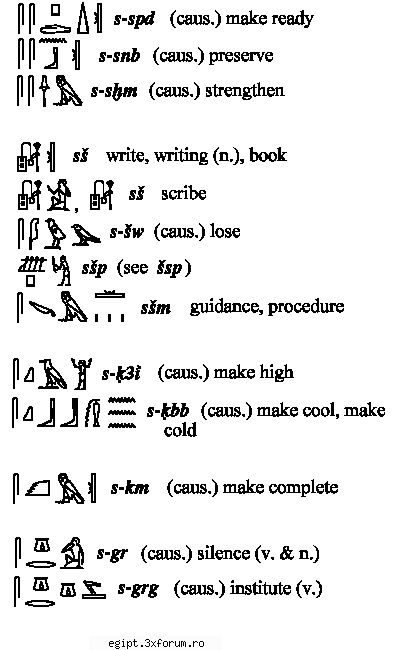 9 dictionar englez egiptean part 5