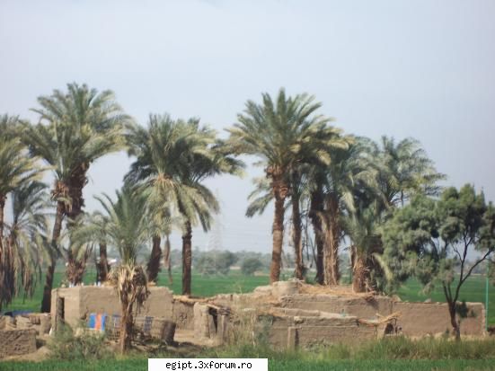 si cand te gandesti ca acestea sunt case in egypt, nu exista clasa de mijloc, sunt doar oameni