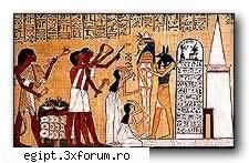 mummy - Myosotis - POZE