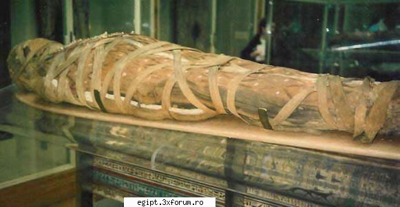 mummy - montana - POZE