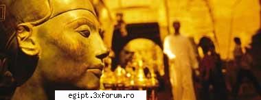 nefertiti - Myosotis - POZE