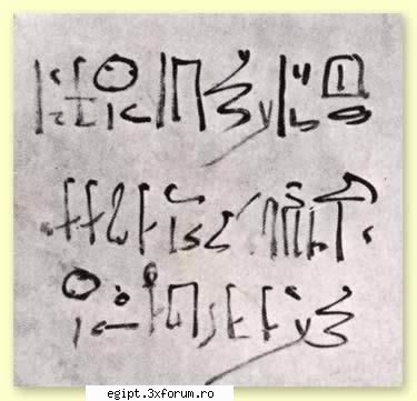 tut - ReLu - POZE